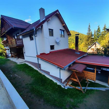 Cabana Denisa Rîu de Mori Zewnętrze zdjęcie