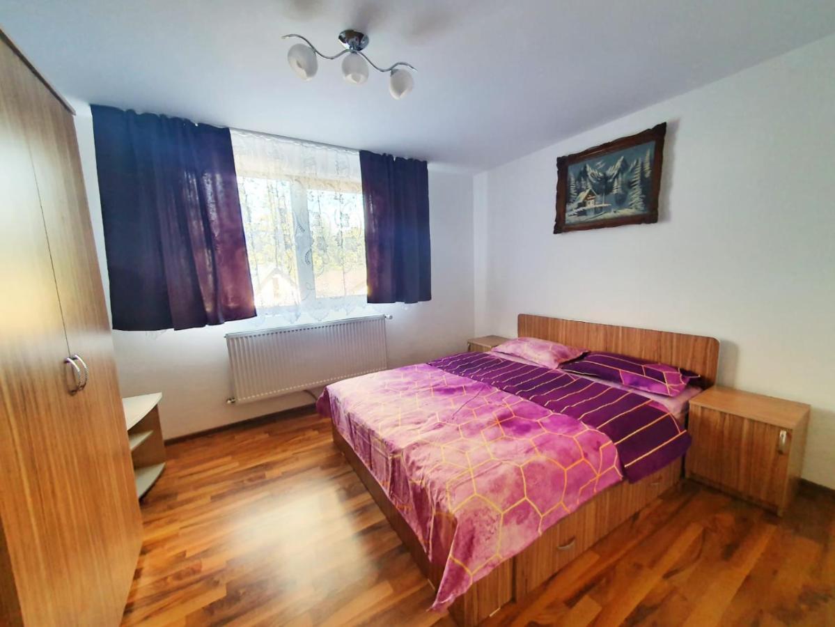 Cabana Denisa Rîu de Mori Zewnętrze zdjęcie
