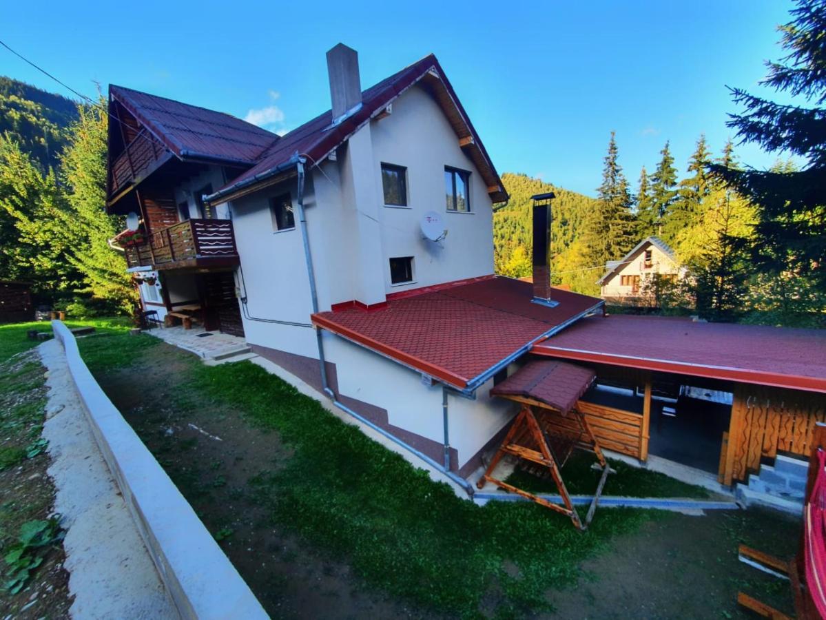 Cabana Denisa Rîu de Mori Zewnętrze zdjęcie