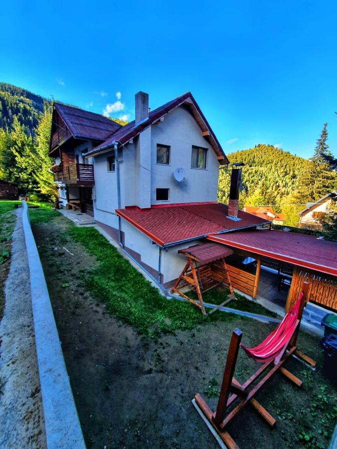 Cabana Denisa Rîu de Mori Zewnętrze zdjęcie